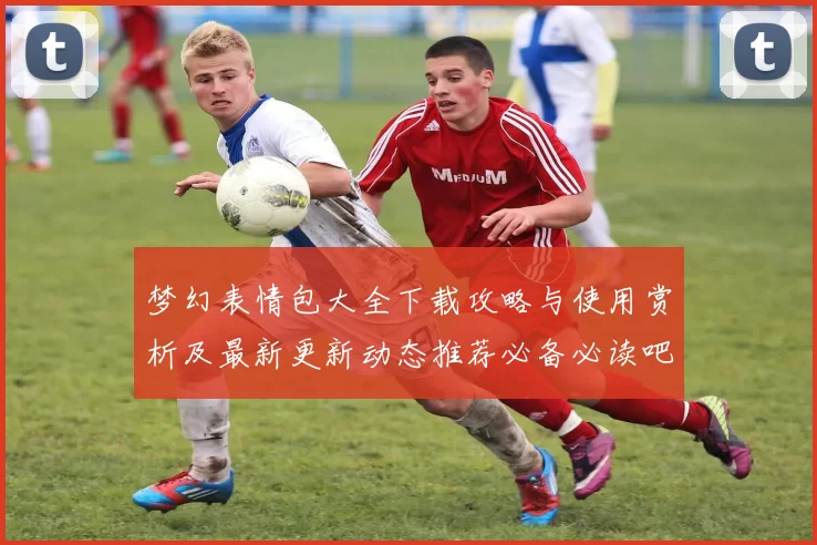 梦幻表情包大全下载攻略与使用赏析及最新更新动态推荐必备必读吧