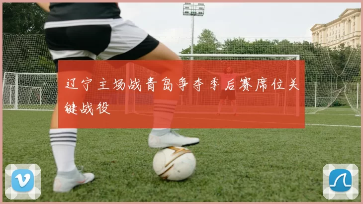 辽宁主场战青岛争夺季后赛席位关键战役