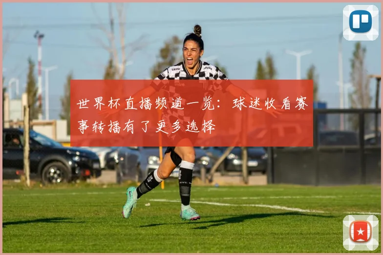 世界杯直播频道一览:球迷收看赛事转播有了更多选择