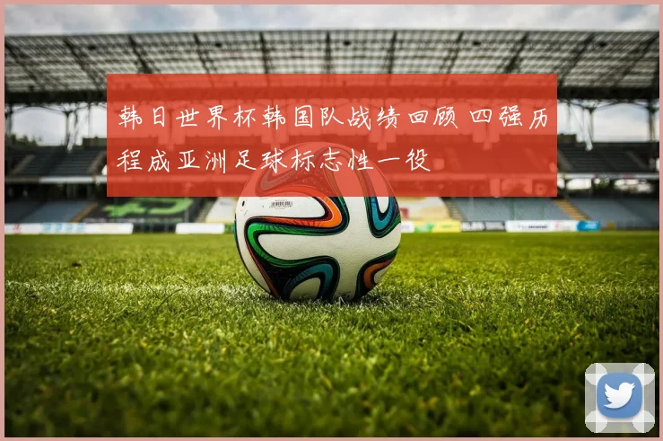 韩日世界杯韩国队战绩回顾 四强历程成亚洲足球标志性一役