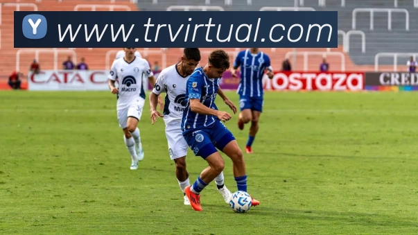 数据防护可视化